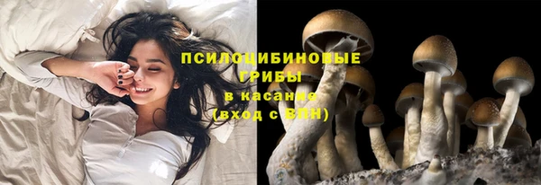 ПСИЛОЦИБИНОВЫЕ ГРИБЫ Армянск