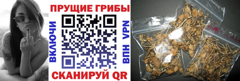 Галлюциногенные грибы мухоморы  Мамоново 